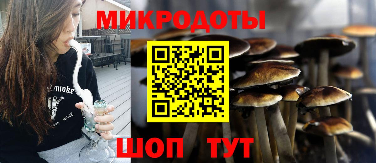 Псилоцибиновые грибы мицелий Соль-Илецк
